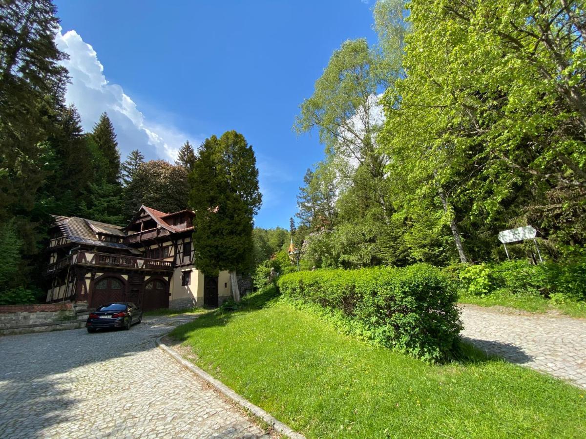Vila De Argint Aleea Pelesului Nr 2 Синая Екстериор снимка