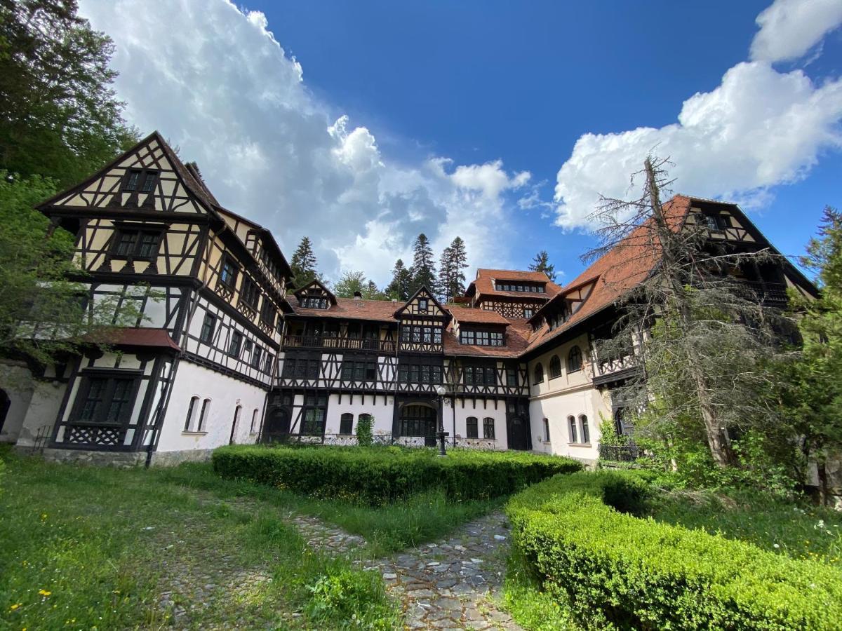 Vila De Argint Aleea Pelesului Nr 2 Синая Екстериор снимка