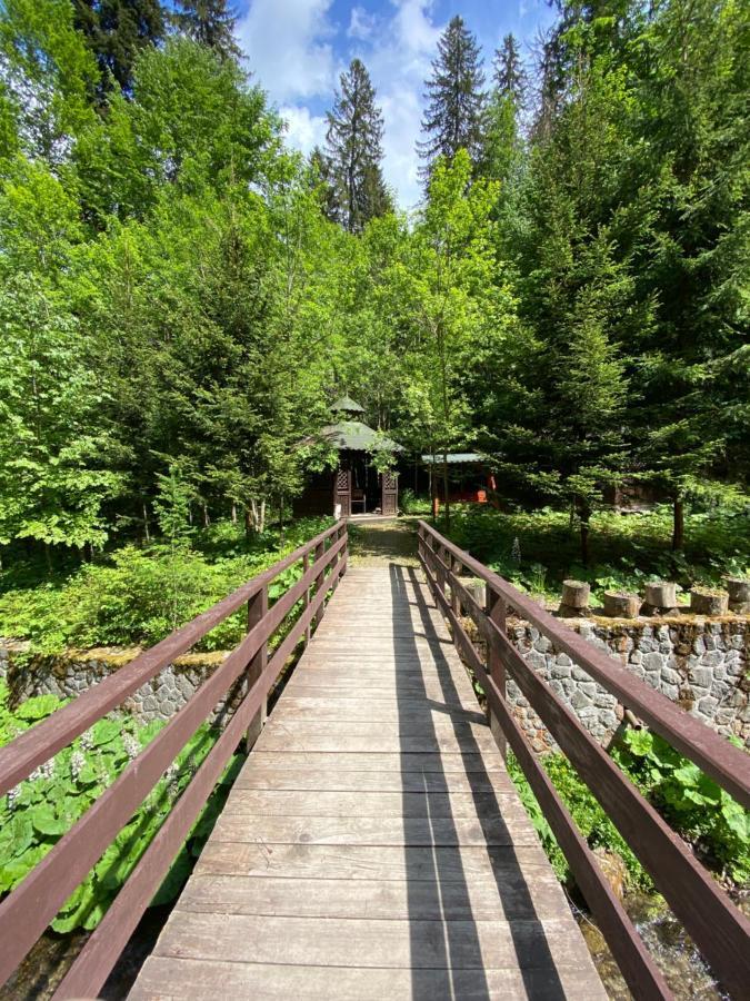 Vila De Argint Aleea Pelesului Nr 2 Синая Екстериор снимка