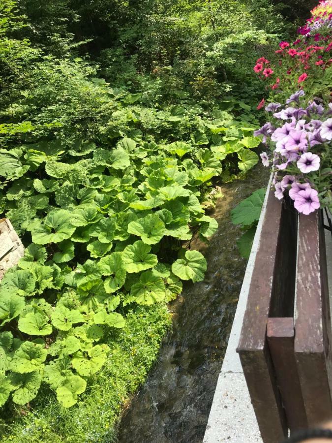 Vila De Argint Aleea Pelesului Nr 2 Синая Екстериор снимка