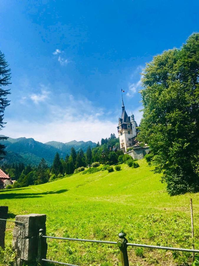 Vila De Argint Aleea Pelesului Nr 2 Синая Екстериор снимка