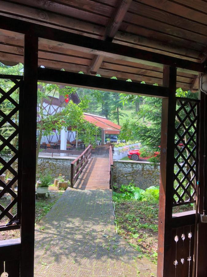 Vila De Argint Aleea Pelesului Nr 2 Синая Екстериор снимка